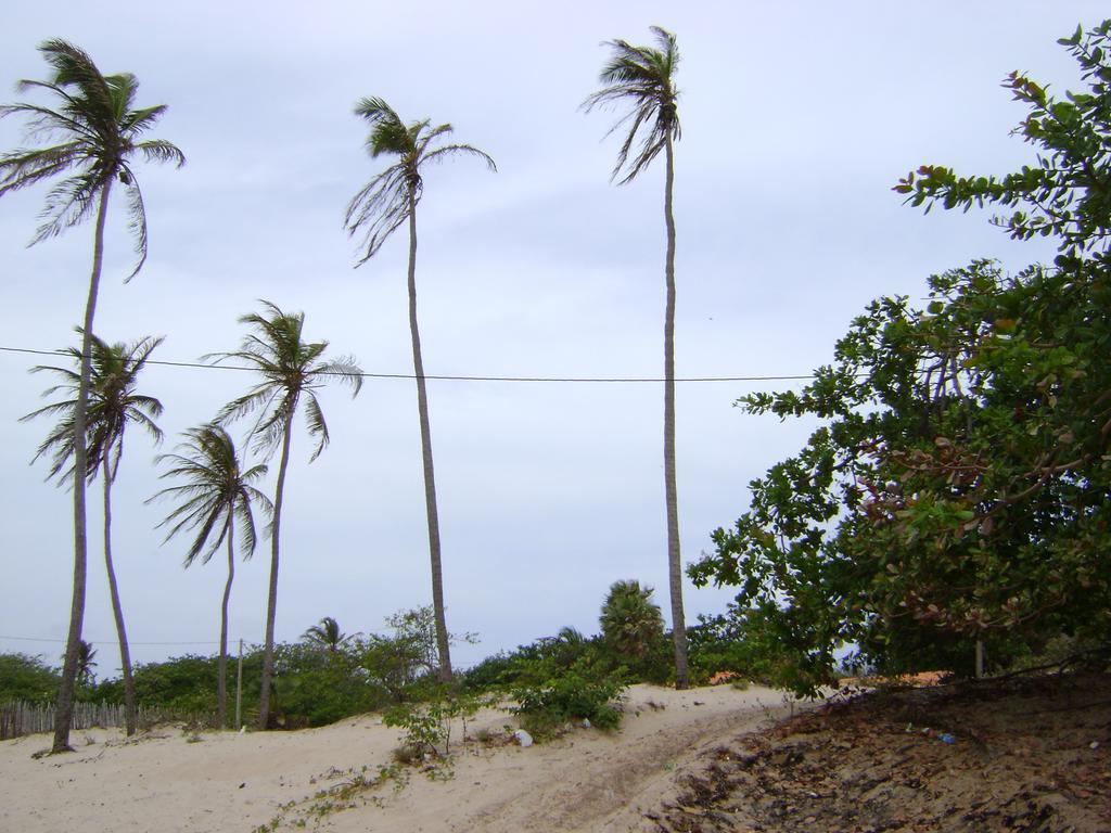Pousada Paraiso Das Canárias Eksteriør billede
